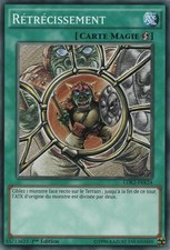 Yu-Gi-Oh: Shrinkage | LDK2-FRK24 | Common | NM | FR