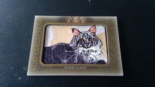 2026 Upper Deck Feline Collection Guide in-content 27