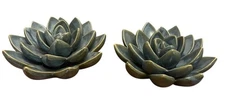 The Spring Shop Blue Succulent Decor 6.7” Diameter SUMATRA Plants