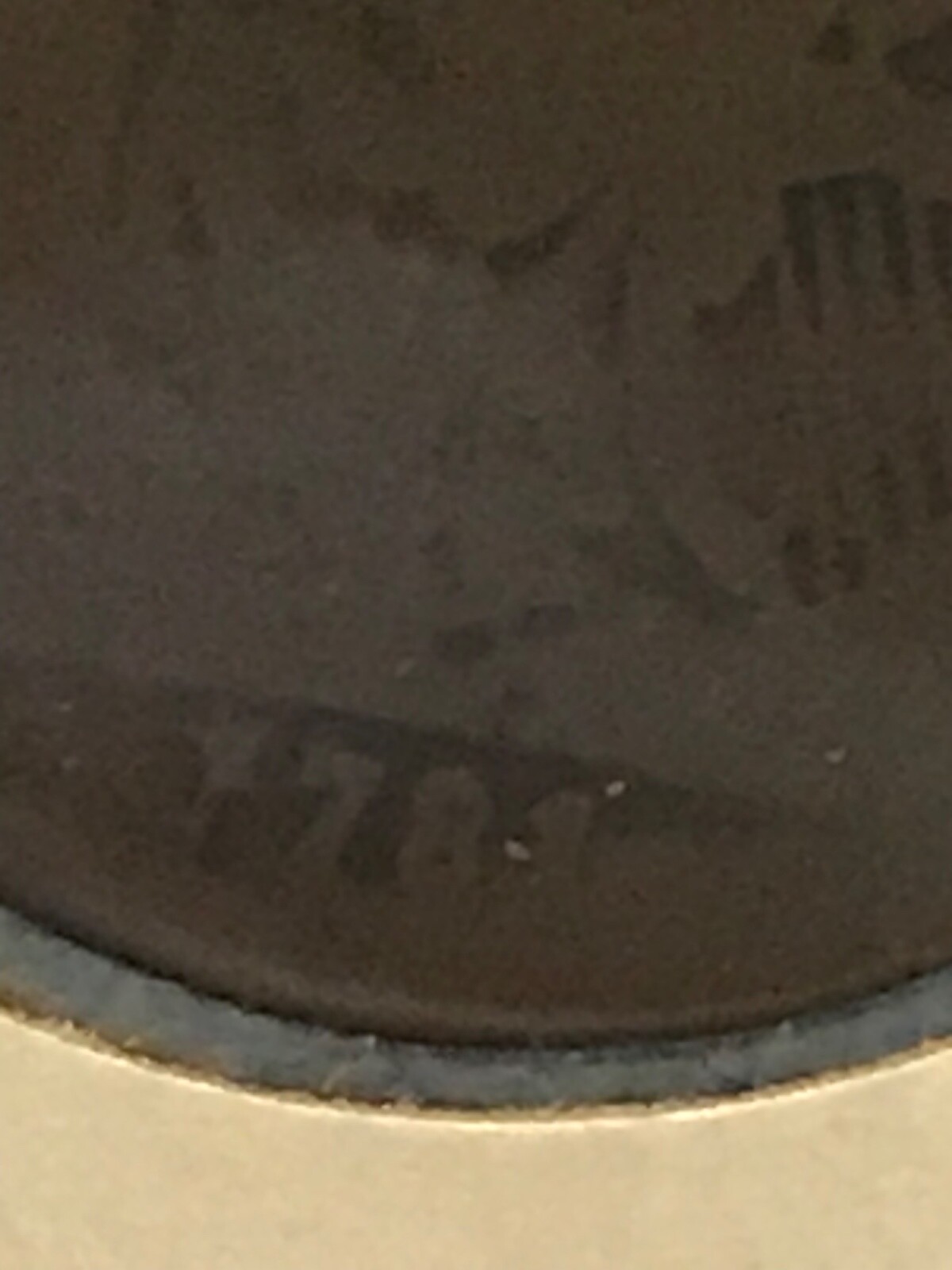 Picture 3 of 3