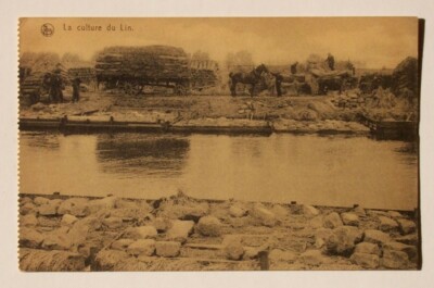 1910s? Culture du Lin Le Lestage des Ballons Belgium Postcard