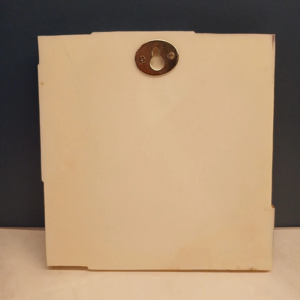 Lote de 2 placas de arte 3D decorativas blancas Kathryn de resina 5,5"x5,5" con gancho colgante Foto 4 de 4