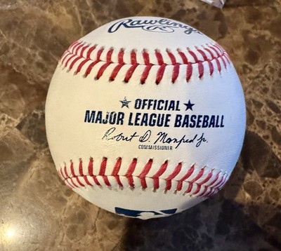 COACH ×MLB New York Yankees 野球ボール インテリア. New York