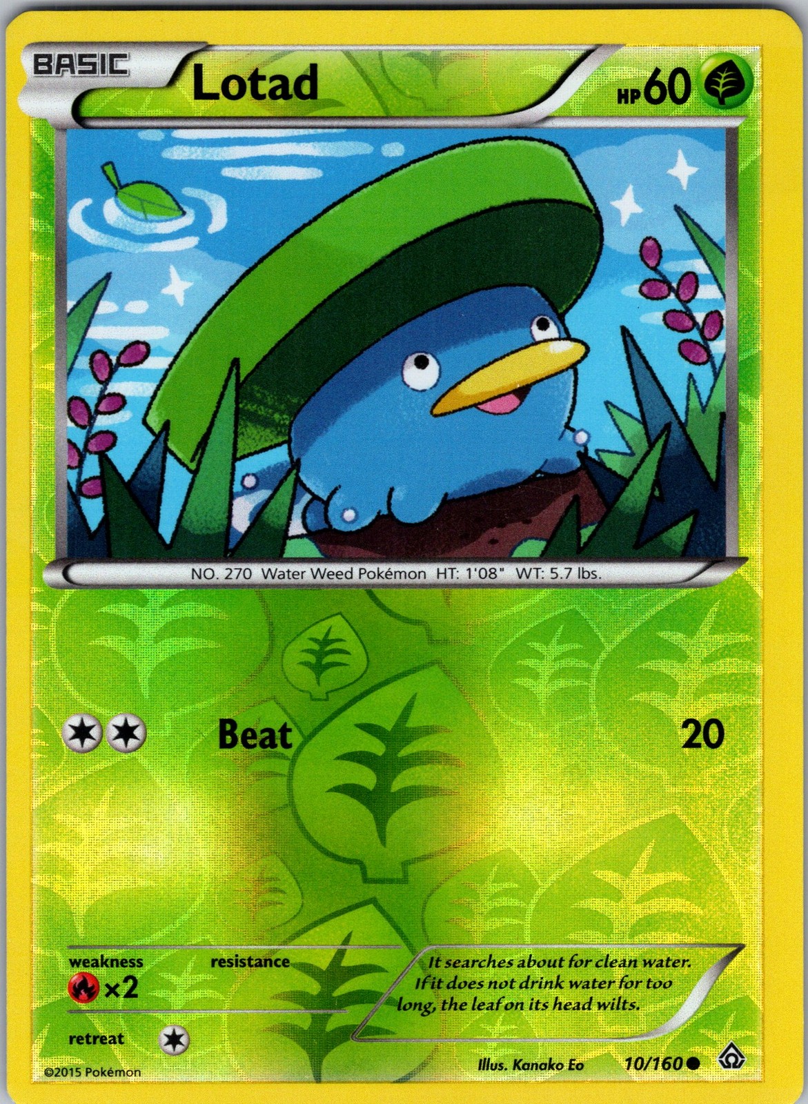 Lotad 10/160 XY - Primal Clash Pokemon TCG LP-NM
