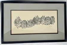 Pen & Ink Rabbits Print Scott Hecker Matted Framed Under Glass 18” X 12” Bunnies