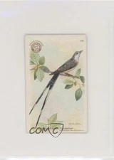 1922 Arm & Hammer Useful Birds of America Series 3 Scissor-Tailed Flycatcher z6d