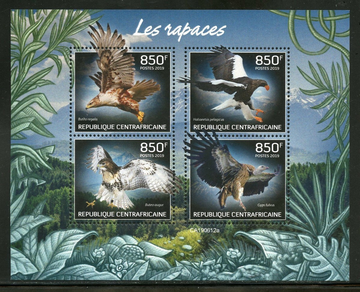 CENTRAL AFRICA 2019 BIRDS OF PREY SHEET MINT NEVER HINGED