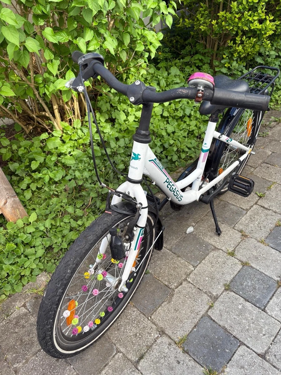 rennrder xxl Chase Edge Pro XXL Bike (2026)