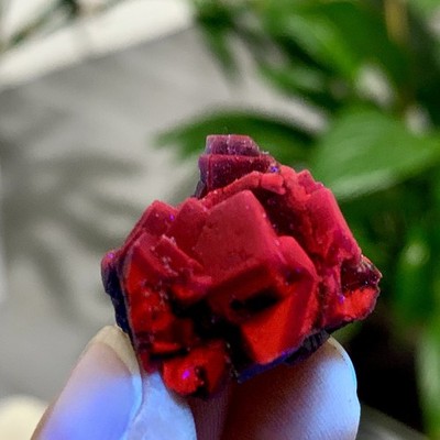 10G Natural black rose fluorescent cube fluorite specimen glow under UV light