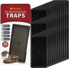 LULUCATCH Super Glue Traps 36 Pack for Mice & Snakes, Larger, 36 Pack, Black 