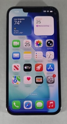 Apple iPhone 13 Pro 256GB Unlocked Xlnt Condition Graphite Reset No iCloud