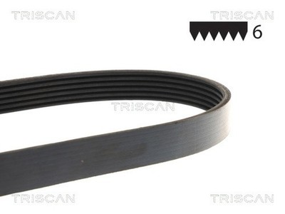 TRISCAN Keilrippenriemen 8640 602613 für AUDI A6 SAAB BUICK FORD C4 A8 4A2 100