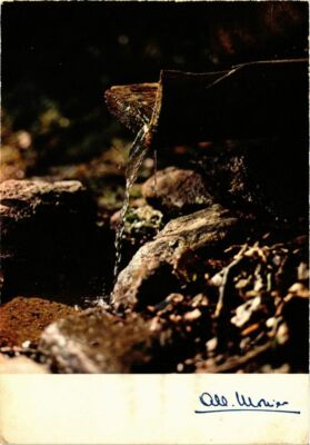 CPA MONIER ALBERT-Prestige de la terre-1027. L'eau vive (331525)