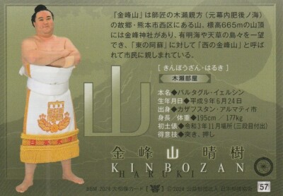 ヤムチャゴールドカード 39 狼雅 ROGA 2024 BBM 