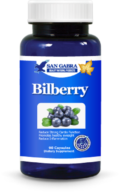 Bilberry, Reduce Swelling, Lower Blood Sugar, Improve Circulation eBay