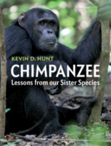 Chimpanzee Lessons from our Sister Species Hunt Hardback 9781107118591