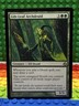 1x Gilt-Leaf Archdruid [Morningtide] NM - #124 - MTG VINTAGE RARE