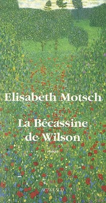 La Bécassine de Wilson, Elisabeth Motsch