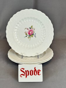 Billingsley Rose Spode | eBay