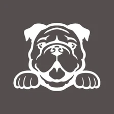 Bulldog Peeking White Vinyl Decal Car truck windows laptop notebook