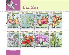 Orchidee