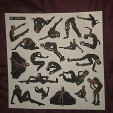Fka Twigs Sticker Sheet/ Album Eusexua