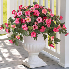 Artificial Fake Petunia Flowers for Outdoor Decoration, 2PCS Faux Silk