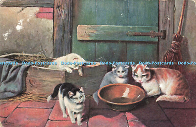 R201107 Katzen Max Ettlinger The Royal Serie Serie 4034 1909
