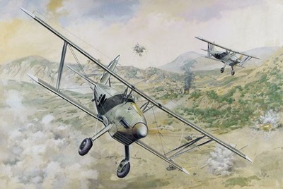 ROD-427 Roden 1/48 Arado Ar68E Aircraft
