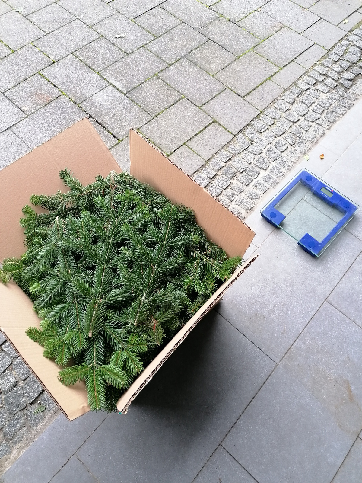 Bild 3 von 3