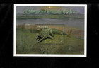 Gambia 2000 - Endangered Animals Croc - Souvenir Stamp Sheet - Scott #2198 - MNH