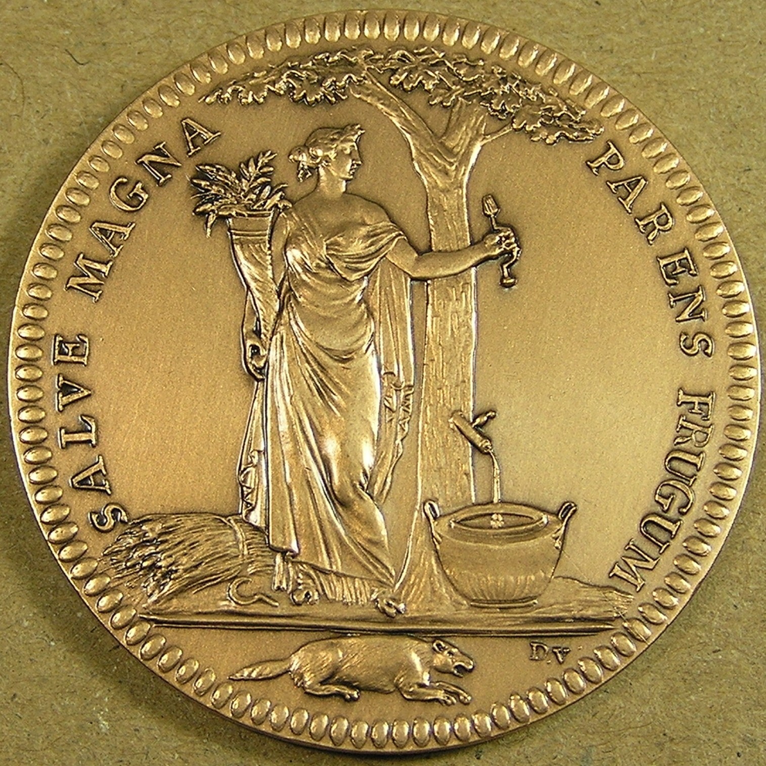 1796 France Castorland Restrike Bronze Medal+Box,Gem UNC, Franco