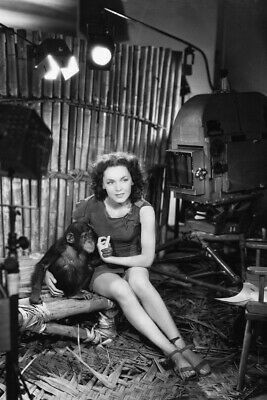 PÓSTER DE MAUREEN O'SULLIVAN TARZÁN Y SU COMPAÑERO 24x36 - Imagen 1 de 1