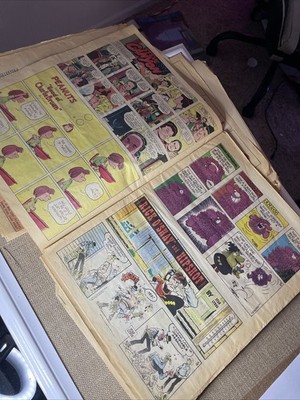 VINTAGE COMIC STRIPS 1970's Newspaper Funnies LOT Peanuts Cartoons
