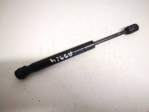 BMW 5-Series 2006 Trunk Luggage Shock Lift Cylinder, Gas Pressure  #2196288-96