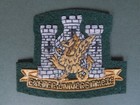 British Army Exeter University Officer Training Corps Badge