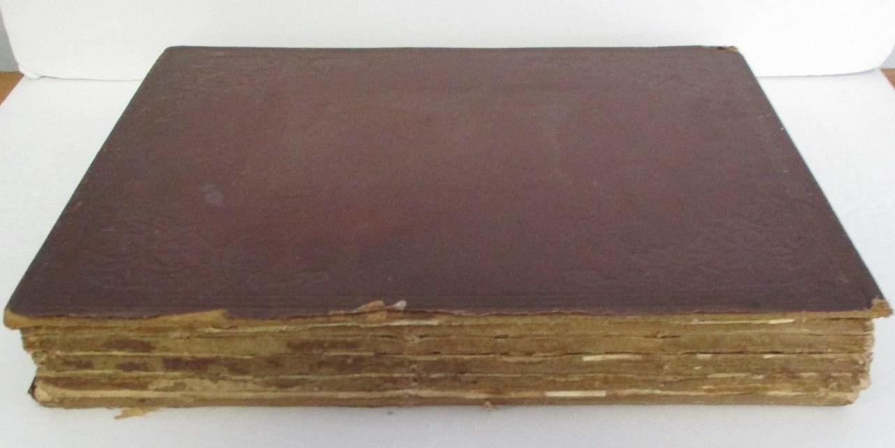 Picture 2 of 12