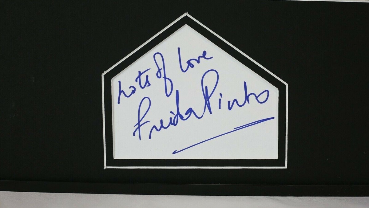 Freida Pinto Signed Framed 16x20 Photo Poster Display Slumdog