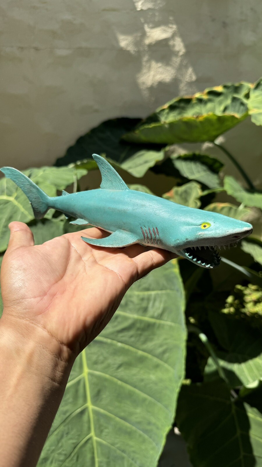 Picture 1 of 6