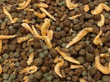 GOURMET FLOATING & SINKING LARGE MIX,Cichlids,Carnivore,Spirulina,Krill,ABF91K