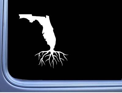 Florida Roots M241 6 inch Sticker home state Decal | eBay