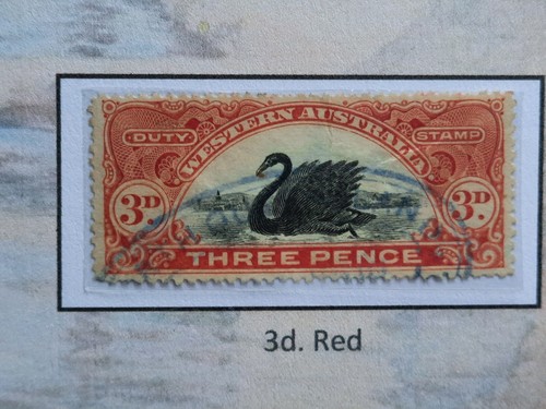 BEAUTIFUL Western Australia Long Swan Revenues. 4 Pgs. Lovely colln. ALL GENUINE - Picture 19 of 24