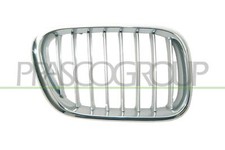 PRASCO Kühlergitter vorne rechts passend für BMW X5 E53 3.0d 3.0i grau