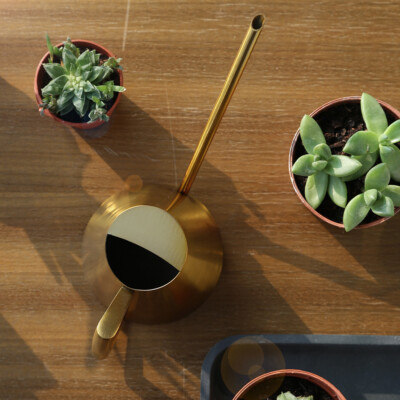 Kleine Edelstahl Gießkanne Mit Langer Auslauf Für Zimmerpflanzen Watering Can