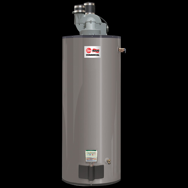 Rheem GPDV50-65LP Power Direct Vent Water Heater 50 Gal. 65,000 BTU LP  PROPANE | eBay