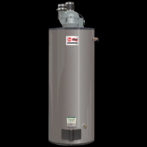 Rheem GPDV50-65LP Power Direct Vent Water Heater 50 Gal. 65,000 BTU LP  PROPANE | eBay