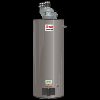 Rheem GPDV50-65LP Power Direct Vent Water Heater 50 Gal. 65,000 BTU LP  PROPANE | eBay