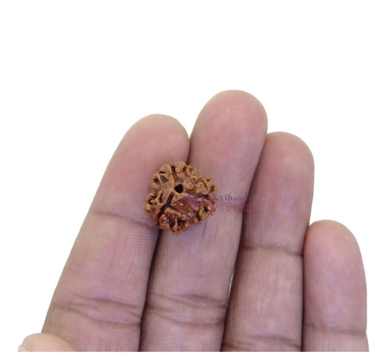 Natürliche Rudraksha Perlen 1-13 Mukhi - Zertifizierte Heilperlen Aus Nepal Mit Panch Dhatu