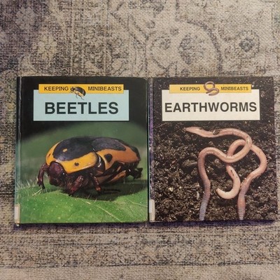 Earthworms, Beetles (Keeping Minibeasts)