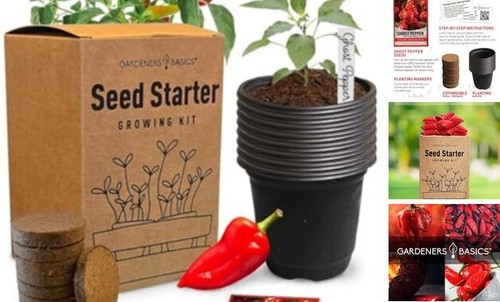 Ghost Pepper Seed Starter Kit - Grow Your Own Bhut Jolokia Peppers - Non-GMO